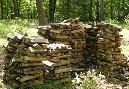 Firewood Storage 