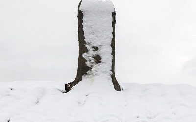 Winterizing your chimney
