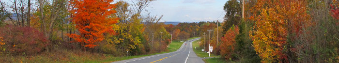 plattekill ny chimney sweep and chimney repairs in balmville, marlboro ny near gardiner ny