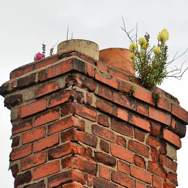 Leaky chimney inspection in Poughkeepsie NY