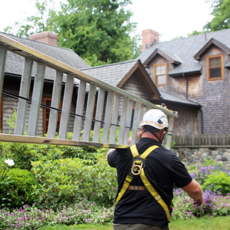 homeowner's insurance for chimney damage, columbia county ny