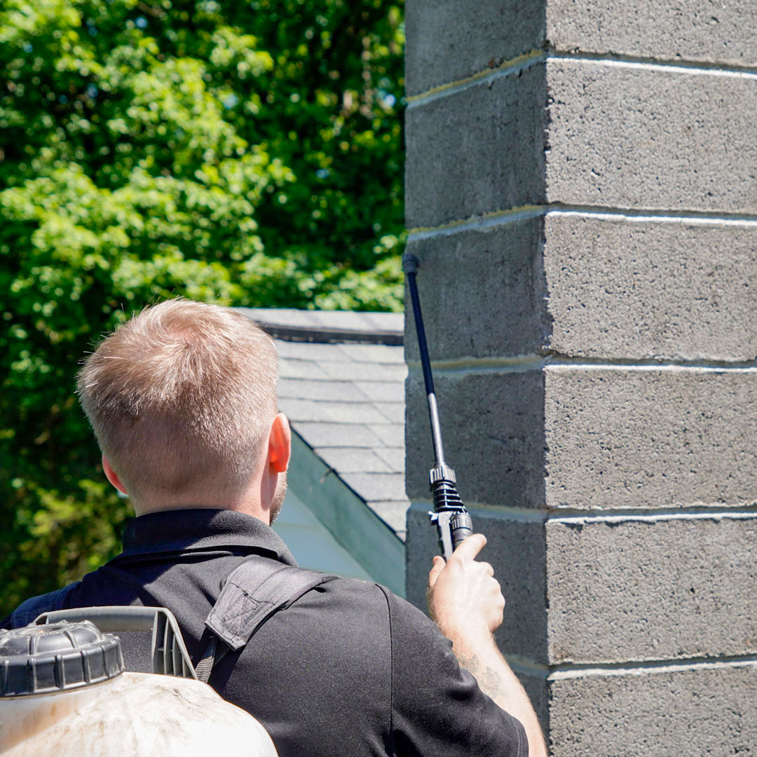 Professional chimney waterproofing in Cold Spring & Esopus, NY